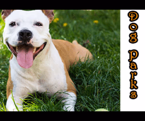 Overpeck Park Dog Run photo 1